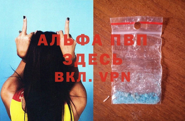 стафф Алзамай